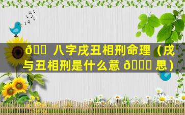 🐠 八字戌丑相刑命理（戌与丑相刑是什么意 🐎 思）